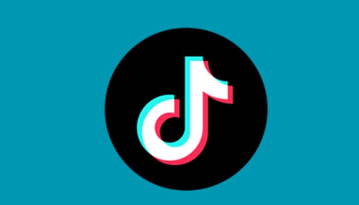 TikTok Ban in the U.S. Driven by Political Concerns