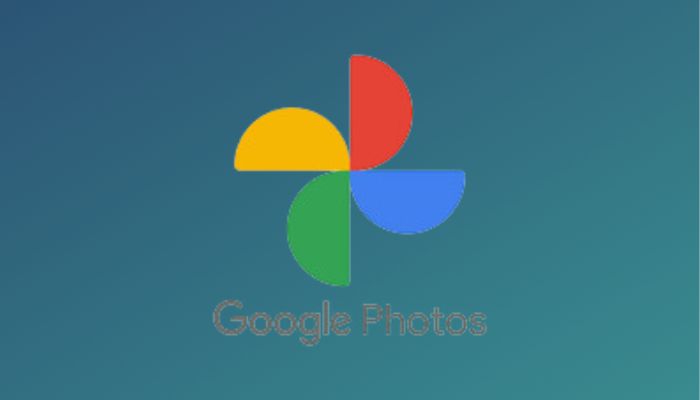 Discover Google Photos Documents Section on Web