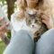 pet social networking