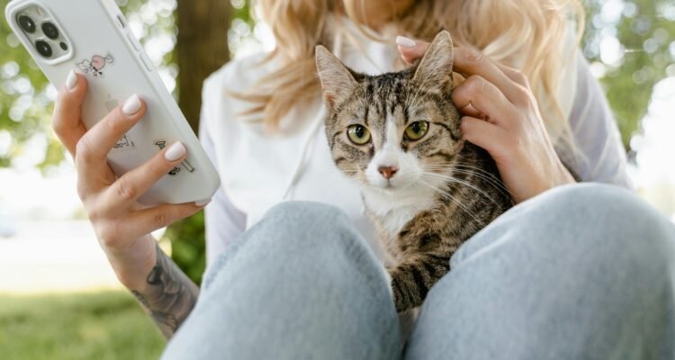 pet social networking