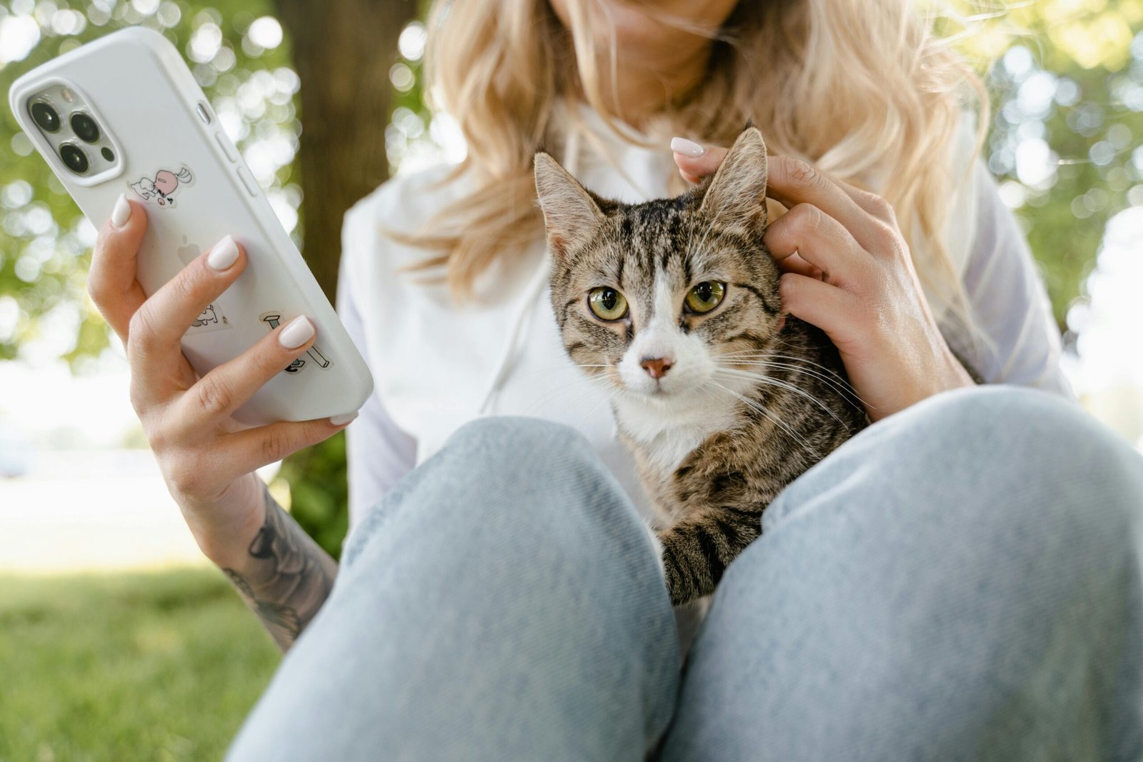 pet social networking