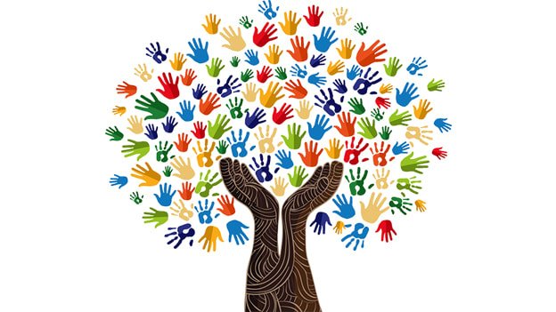 culture connection app