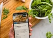 meal planner app